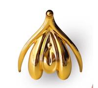 1 modello anatomico di clitoride femminile premium - manichino ginecologico 3D for scopi educativi e terapeutici(Gold)