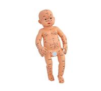 1. Modello di allenamento pediatrico degli agopunti realistici per l'educazione infermieristica e la pratica dell'assistenza domiciliare Modello anatomico del meridiano del bambino