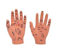 1. Modello di allenamento per agopunti pediatrici realistico per l'educazione infermieristica e l'assistenza domiciliare Modello di studio del meridiano infantile