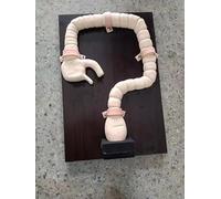 1 modello di esame di colonscopia - Simulatore di addestramento for sigmoidoscopio intestinale umano for applicazioni sanitarie, istruzione e ricerca