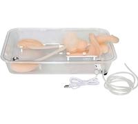 1 modello di rene realistico in silicone for applicazioni sanitarie | Modello anatomico di simulazione di ureteroscopia for studenti