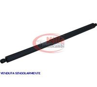 1 MOLLA A GAS PISTONI COFANO PER TESLA MODEL S 2016-2020 P.SX C/CHIUS.AUTOMATICA