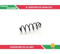 1 MOLLA AUTOTELAIO POSTERIORE ASHIKA ZCA6063H