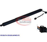 MAX ELR101 Ammortizatore pneumatico, Cofano bagagli / vano carico