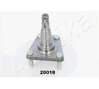 1 MOZZO RUOTA POSTERIORE ASHIKA 4420018 44-20018