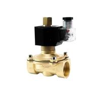 1" Normally Open Brass IP65 Waterproof Solenoid Valve DN25 Electric Switch Water Valves 220V 110V 24V 12V(NPT_110VAC)