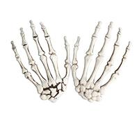 1 paio di mani di scheletro di Halloween mano teschio artiglio scheletro modello spaventoso ossa mani per Halloween decorazione horror