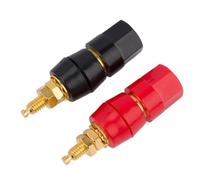 1 paio di terminali for amplificatore con spina a banana da 4 mm, jack for altoparlante, connettore rosso nero