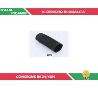 1 PARAPOLVERE AMMORTIZZATORE POSTERIORE ASHIKA GOM-2679