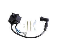 1 pcs Bobina statore accensione 12V Metallo(A)
