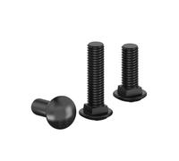 1 Pcs bullone a testa tonda semicircolare con collo quadro M16, 1 Pcs, M16x70