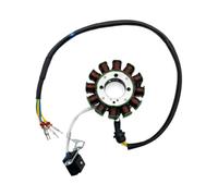1 pcs Kit bobina statore con volano 12 poli Metallo(12 Pole Stator)