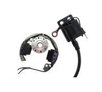 1 Pcs Kit Bobina Statore Con Volano 50 SX 50cc SX50