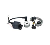 1 pcs Kit bobina statore con volano(Full Kit 1)