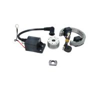 1 pcs Kit bobina statore con volano(Full Kit 2)