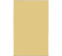 1 Pezzi 20x14.5cm toppe termoadesive,toppe per pantaloni,Patch in Nylon Autoadesive,Toppe Autoadesive per Riparazione,Toppe di Riparazione per Piumini,per Borsa,Abbigliamento(color crema)