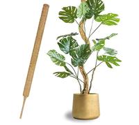 1 Pezzi 70cm*4CM sostegno per piante rampicanti Interno,supporto piante rampicanti,tutore per piante allungabili, per Casa Giardino