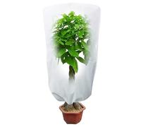 1 Pezzi Cappuccio Protezione Piante,Telo per Piante Inverno Antigelo,Telo Tessuto Non Tessuto per Piante Copri Piante Inverno Esterno,Protezione Invernale Piante con Cerniera e Coulisse-80 x 115cm