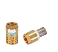 1 pezzo 1/2 "3/4" 1 "2" BSPP Valvola di ritegno in ottone con filettatura interna valvola di ritegno con filtro in acciaio DN15 DN25 DN40 for pompa 'acqua(2 copper)