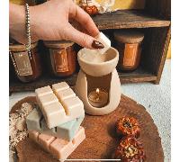 1 pezzo/8 pezzi Candele per aromaterapia, set di candele, cere profumate, candele profumate ghiacciate, (3 once) blocchi/tartellette per scaldacera assortiti - Rosa, Vaniglia, Caffè, Gardenia, Lavanda