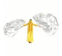 1 pezzo Bandiera da danza di lode con asta retrattile, bandiera ad ali d'angelo a semicerchio per il culto, adatta per la danza in chiesa, 1 bandiera + 1 asta retrattile Arancione 96*140,Viola 140*140