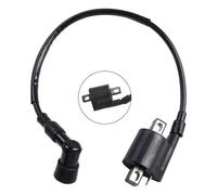 1 Pezzo Bobina Accensione Nera Per Quad E Scooter 50 70 110 125 150 200 250cc
