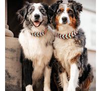 1 pezzo Collare regolabile per cani in materiale PVC bicolore fatto a mano, design vintage di lusso per guinzaglio per animali domestici L,M,SBlocchi di colorePolicloruri di vinile