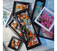 1 pezzo Cornice portafoto moderna e semplice in plastica con fiori secchi, cornice portafoto 3D per fiori secchi, supporto espositivo fai-da-te, cornice portafoto galleggiante senza vetro, supporto es