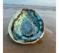 1 pezzo di grande conchiglia di Paua/Abalone, di dimensioni da 2,7 a 5,54 pollici, bruciatore di incenso in conchiglia di Paua, utilizzabile per bruciare salvia, decorazione per la casa e la stanza, a