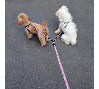 1 pezzo di guinzaglio per cani senza nodi e a doppia testa, convertibile in singolo, con motivo a onde, per permettere la passeggia di due cani contemporaneamente, leggero, durevole, accessori per ani