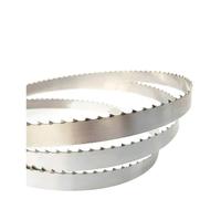 1 pezzo e lama for sega a nastro da macellaio a taglio rapido for macchina elettrica for lavorazione alimentare 1650 mm * 16 * 0,56 mm modello J310(Length 1650mm)