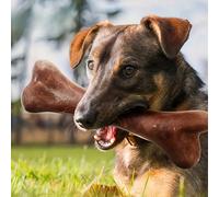 1 pezzo Giocattolo da masticare per cani al gusto di manzo: un must. Questo giocattolo interattivo a forma di osso non solo è una fonte di divertimento infinito, ma serve anche diversi scopi. Il gusto