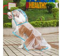 1 pezzo Impermeabile trasparente con bordo blu per gatti e cani da utilizzare all'aperto nei giorni di pioggia 3XL,4XL,L,M,S,XL,XS,XXLEVA