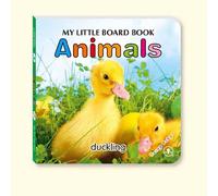 1 pezzo Libretto identificativo per bambini 13cm*13cm, giocattolo educativo Montessori per migliorare la cognizione e la capacità di discriminazione visiva del colore dei bambini, materiale didattico 