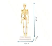 1 pezzo Modellino di scheletro umano in miniatura, anatomia realistica delle ossa del corpo intero, strumento educativo Tagli UnicaABS