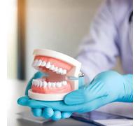 1 pezzo Modello dentale giocattolo, ausilio didattico interattivo per l'insegnamento dello spazzolamento, strumento educativo per la cura orale, adatto per uso domestico, scolastico, studenti e insegn