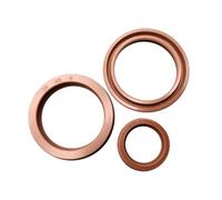 1 pezzo Paraolio idraulico radiale per albero tipo UN in gomma fluorurata, diametro interno 260mm diametro esterno 290mm spessore 18mm, Marrone, 260x290x18mm