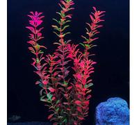 1 pezzo Piante acquatiche artificiali in seta realistiche, sfumatura viola-rosa, decorazione subacquea per acquario, habitat per pesci Betta, bassa manutenzione, decorazione finta per acquascaping, se