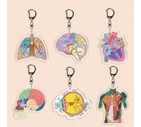 1 pezzo Portachiavi ciondolo in acrilico a forma di borsa da infermiera con design di cuore anatomico, cervello, corpo, globo oculare, polmoni, adatto per professionisti sanitari, assistenti e regali