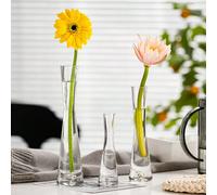 1 pezzo Semplice e moderno vaso in vetro famoso su internet con cultura idroponica trasparente, decorazione floreale per il soggiorno, stile nordico ins, ornamento creativo per la decorazione della ca