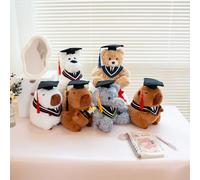 1 pezzo Serie di bambole di peluche creative a tema medico, bambola di peluche morbida e imbottita a forma di cucciolo, capibara, orsacchiotto, elefante, regalo per il ritorno a scuola per bambini, ri