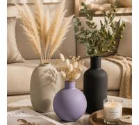 1 pezzo Set di vasi decorativi nordici per erba pampas, fiori secchi, code di coniglio, eucalipto & composizioni floreali finte, decorazione minimalista moderna per soggiorno, tavolino da caffè, libre