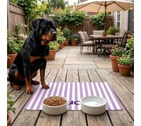 1 pezzo Tappetino personalizzato con nome dell'animale domestico, Sottopiatto personalizzato per animali domestici, Materiale in terra di diatomee, Decorazione per la casa, Regalo perfetto per gli ama