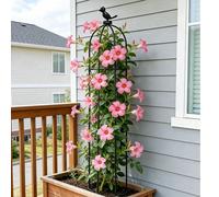1 pezzo Traliccio decorativo da giardino a più livelli, supporto per piante rampicanti adatto per viti, fiori, piante in vaso, verdure, pomodori, fagioli, cetrioli, decorazione da esterno per patio e 