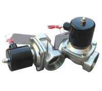 1 pezzo Valvola solenoide for acqua in acciaio inossidabile con filettatura a membrana tipo valvola di commutazione 'acqua normalmente chiusa 2W(220V DN20)