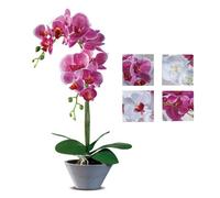 1 Pezzo Vaso con Pianta Artificiale Decorativa Orchidea 12 Fiori 12 x 44 cm 4...