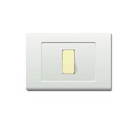 1 Placca, 1 modulo/posto, Compatibile Con BTicino Magic, bianco bianca, Placche squadrate, rettangolari, Plastica di alta qualità, 100% compatibile con supporti e moduli originali
