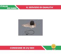 1 POMPA ACQUA ASHIKA 35-09-937