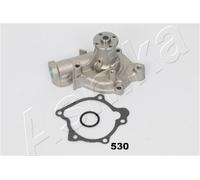 1 POMPA ACQUA ASHIKA 3505530 35-05-530