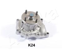 1 POMPA ACQUA ASHIKA 350KK24 35-0K-K24